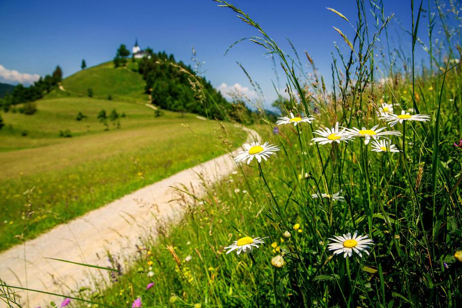 Sveti Jakob | Avtor: Občina Medvode