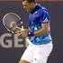 Jo Wilfried Tsonga