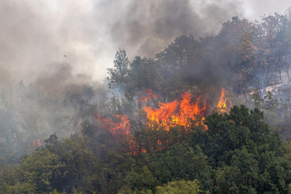 hrvaška požari | Avtor: Epa