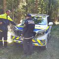 Iskalna akcija policija gozd pogrešana oseba policisti terenec
