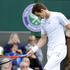 Murray OP Velike Britanije grand slam Wimbledon tenis