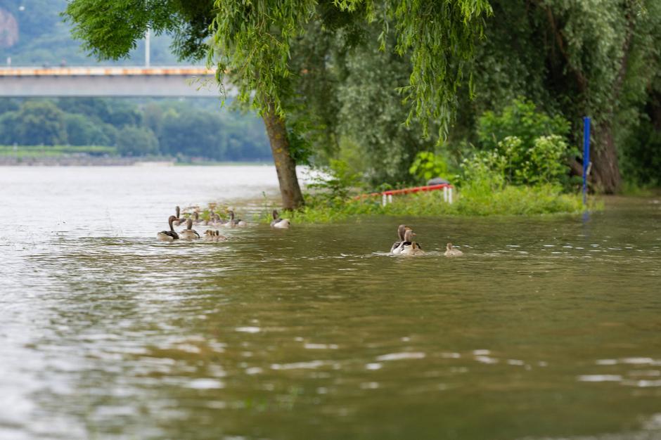 Poplave v Nemčiji | Avtor: Profimedia