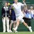 Murray OP Velike Britanije grand slam Wimbledon tenis