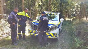 Iskalna akcija policija gozd pogrešana oseba policisti terenec