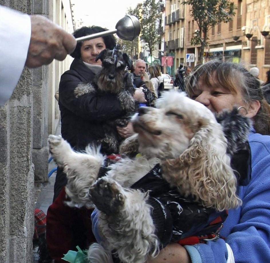 Blagoslov živali v Madridu