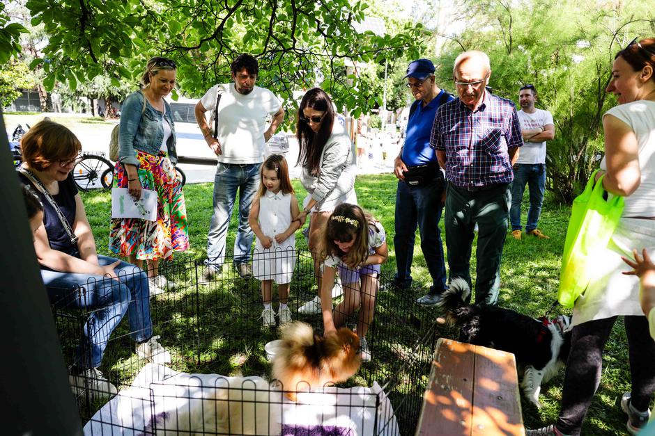 festival za ljubitelje živali | Avtor: Saša Despot