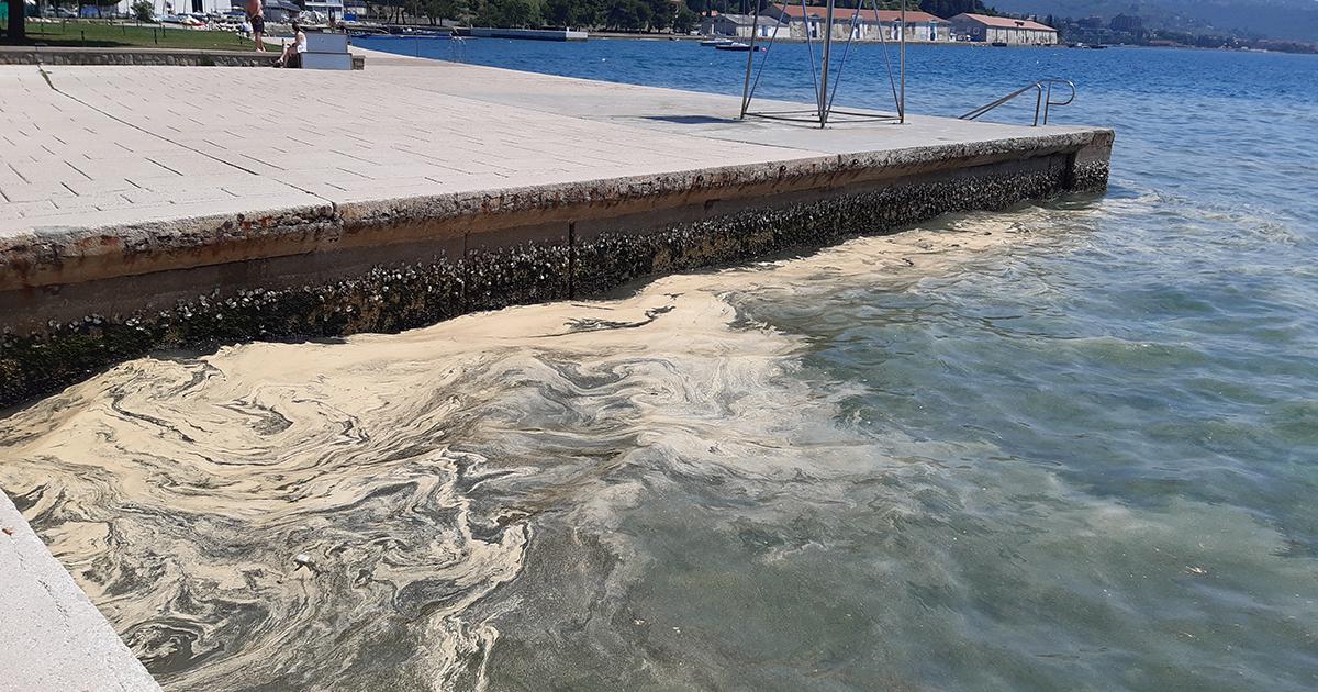 La mer slovène est complètement sale, que se passe-t-il ?