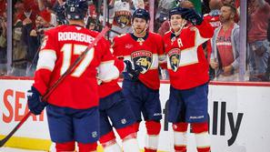 Florida Panthers