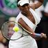 Venus Williams, wimbledon