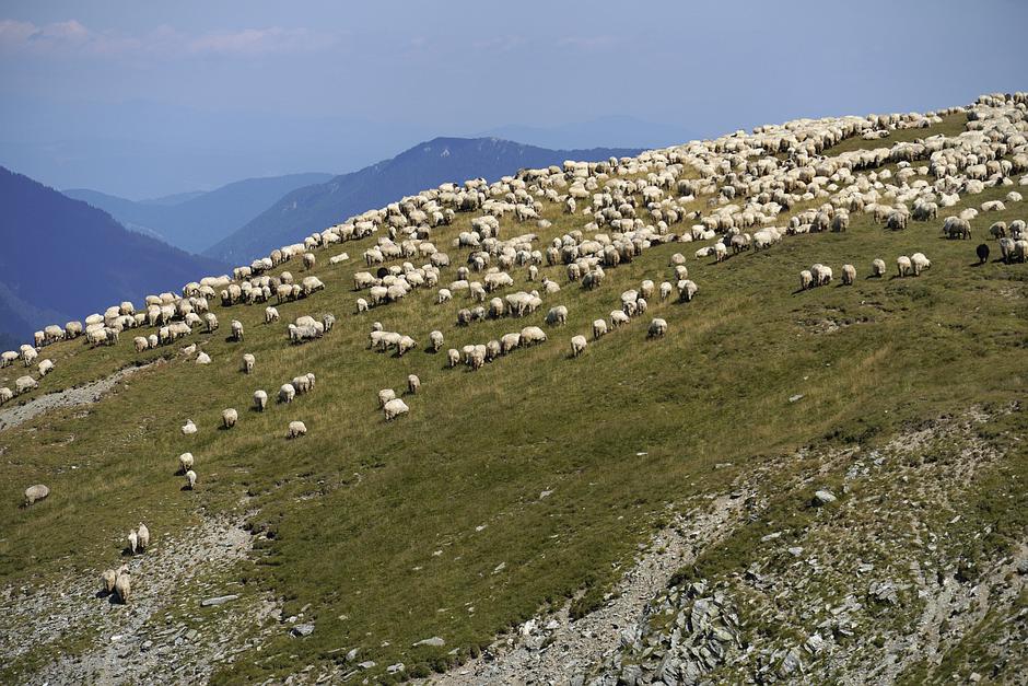 Romunija, potovanje z dacia dusterjam | Avtor: MatijaJanežič