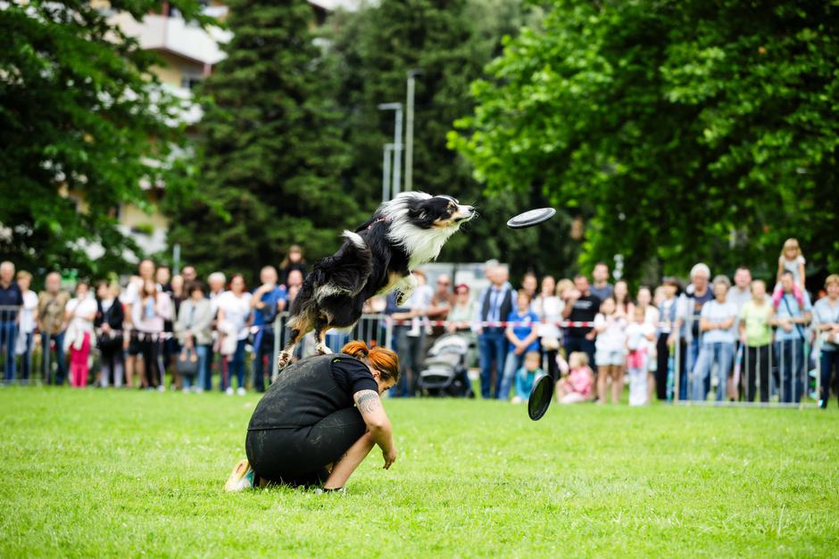 festival za ljubitelje živali | Avtor: Saša Despot