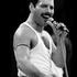 Freddie Mercury