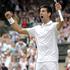 wimblendon polfinale 2011 djokovic tsonga