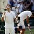 Novak Đoković Juan Martin del Potro Wimbledon polfinale