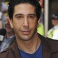 David Schwimmer